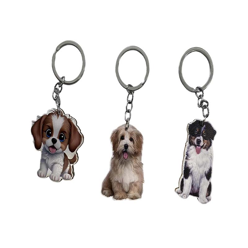 Cadeau acrylique ovale pour dessin animé avec impression DIY