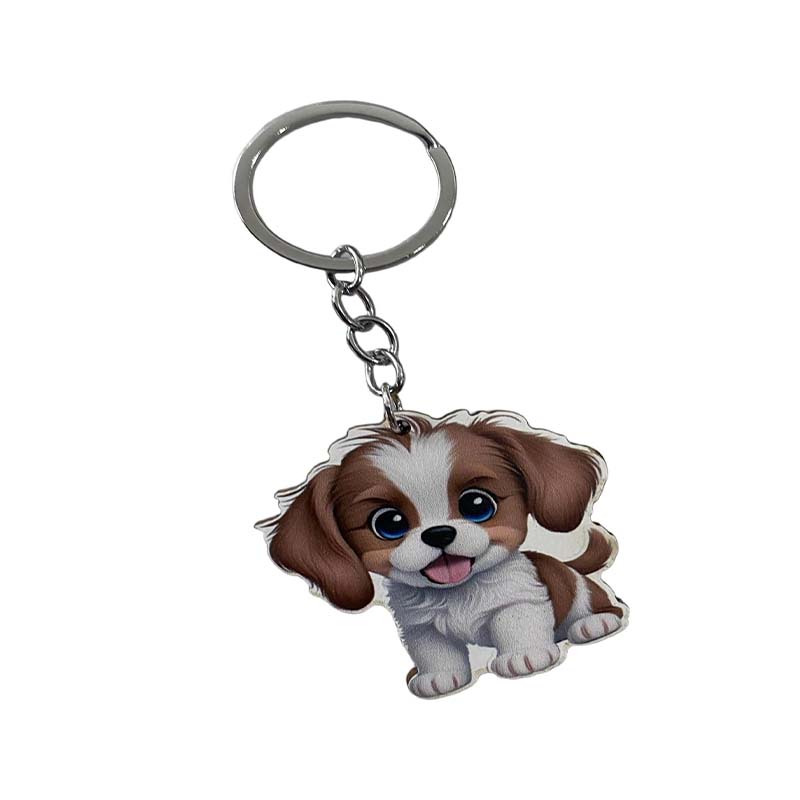 Cadeau acrylique ovale pour dessin animé avec impression DIY