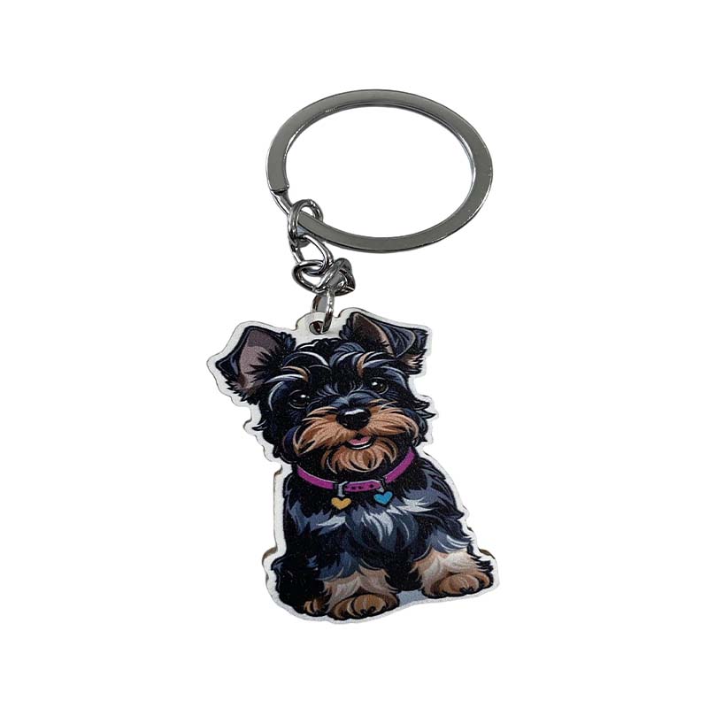 Cadeau acrylique ovale pour dessin animé avec impression DIY