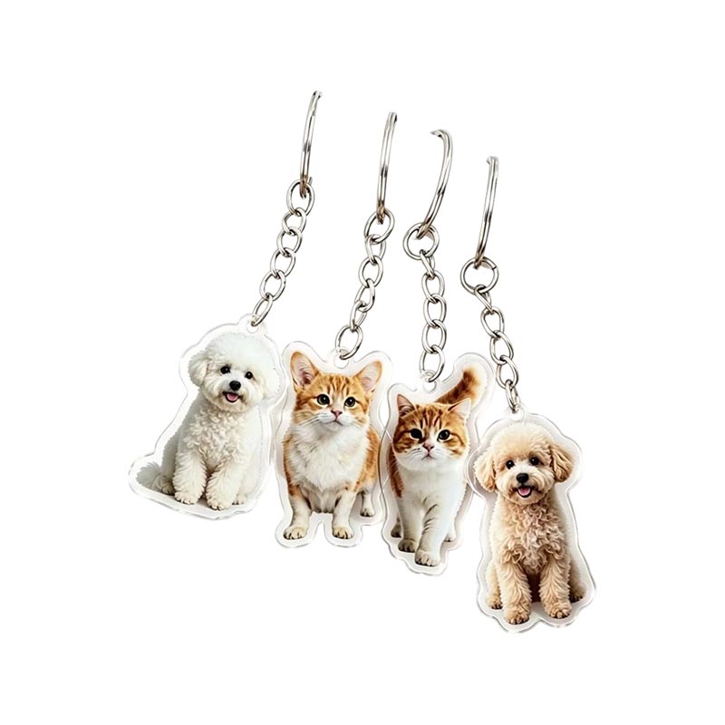 Porte-clés photo acrylique personnalisé pour animaux de compagnie, porte-clés personnalisé transparent