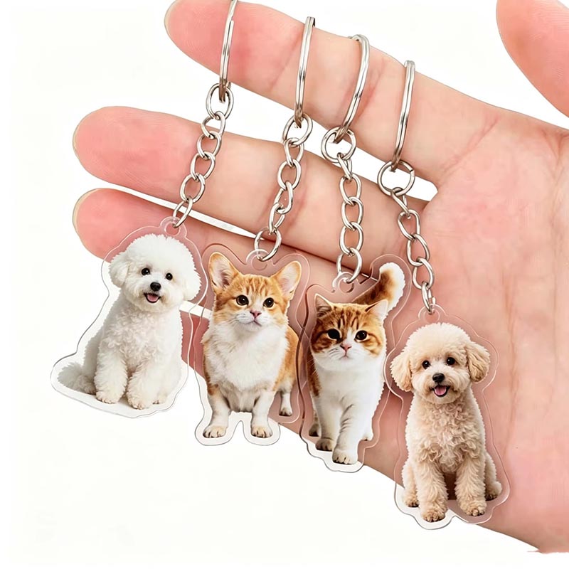 Porte-clés photo acrylique personnalisé pour animaux de compagnie, porte-clés personnalisé transparent