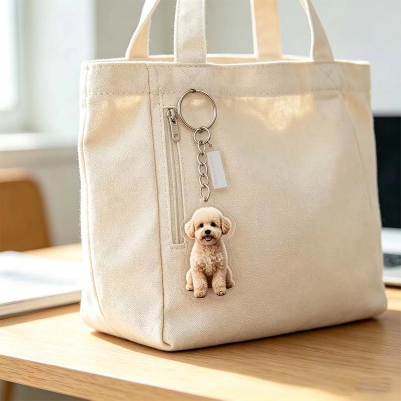 Porte-clés photo acrylique personnalisé pour animaux de compagnie, porte-clés personnalisé transparent